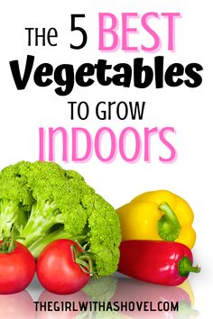 the 5 best vegetables to grow indoors are broccoli, peppers, and tomatoes