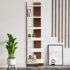 a living room with a plant and bookshelf