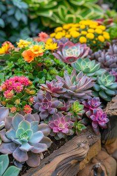 colorful succulents and other plants in a wooden planter filled with rocks