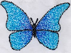 a blue butterfly with black dots on it's wings is shown in this image