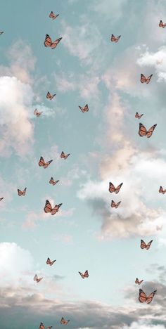 there are many butterflies flying in the sky