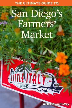 the ultimate guide to san diego's farmer's market, with text overlay