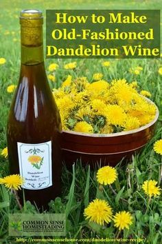 a bottle of wine sitting in the grass with dandelion flowers next to it