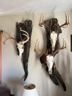 two deer heads mounted to the side of a wall next to a lampshade