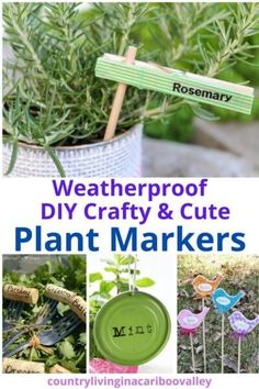 Great ideas for adorable DIY weatherproof plant markersUse for vegetable garden markers or for your herb gardenCraft your own row markers Garden Plant Markers Diy, Homemade Garden Markers, Diy Herb Markers, Popsicle Stick Garden Labels, Diy Plant Labels For Garden, Plant Markers Ideas, Diy Plant Name Tags