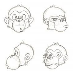 four different types of monkey faces drawn in pencil