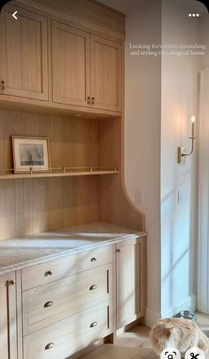 a dog is sitting on the floor in front of some cabinets