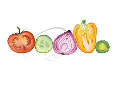 an image of vegetables painted in watercolor