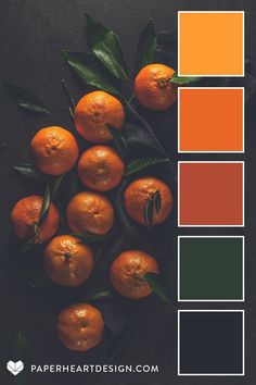 oranges with green leaves in the middle and an orange color scheme overlaying them