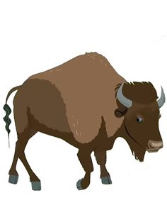 an illustration of a bison with horns standing in front of a white background and looking at the camera