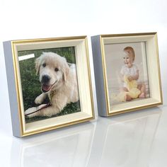 two framed photos of a baby and a golden retriever