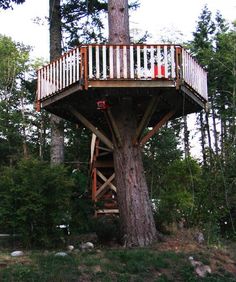 a tree house built into the side of a large tree