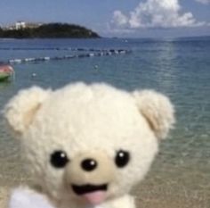 a white teddy bear sitting on top of a sandy beach next to the ocean with boats in the background