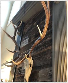 a deer skull mounted to the side of a wooden wall with antlers on it