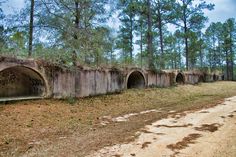 an old concrete tunnel with graffiti on the side and trees in the backround