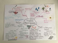 a white paper with writing on it that says trouul rainforests and other words