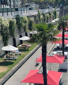 many tables and umbrellas are set up on the side of a road with palm trees