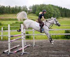 a woman riding on the back of a white horse over an obstacle in a field