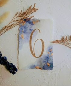 the letter c is surrounded by dried flowers