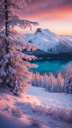 snow covered trees and mountains with water in the distance at sunset or dawn, as seen from above