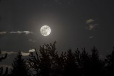 the full moon shines brightly in the night sky above some pine trees and clouds