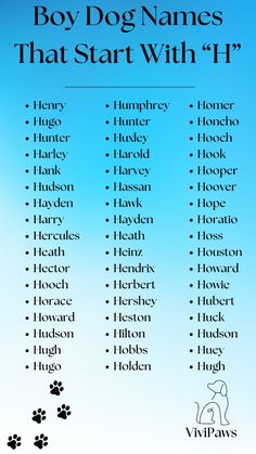 the boy dog names that start with h