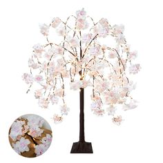 a lighted tree with white flowers on it