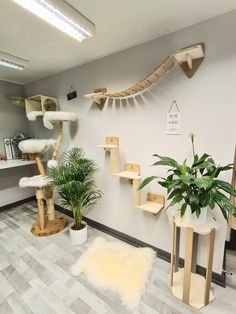 a cat tree in the corner of a room with shelves and plants on the wall