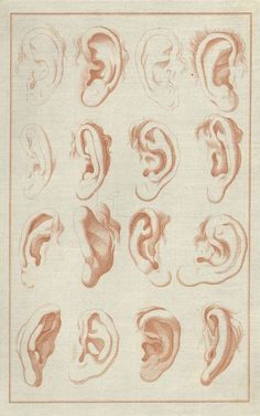 an old drawing of ear shapes