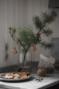 a table topped with cookies and a vase filled with pine branches