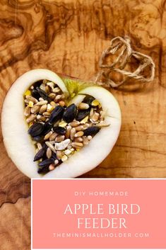 an apple bird feeder made out of seeds on top of a wooden table with the words diy homemade