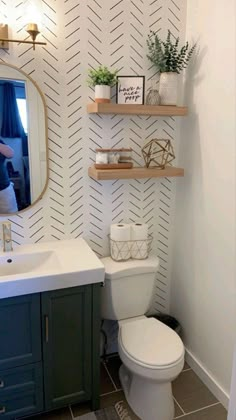 a white toilet sitting under a bathroom mirror next to a wooden shelf filled with plants