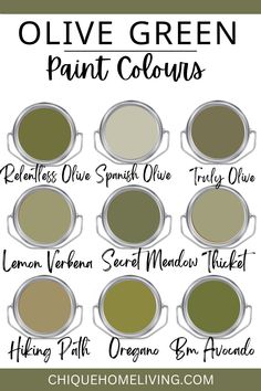 olive green paint colors with the words olive green painted on them