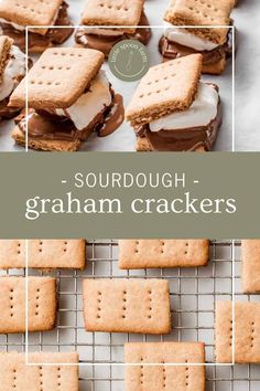 graham crackers on a cooling rack with the words, sourdough graham crackers