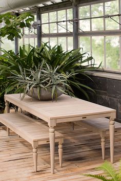 a table and bench in a room with potted plants