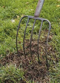 a garden fork stuck in the ground with grass and dirt around it, ready to be used for digging