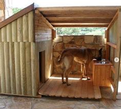 a dog is standing in the doorway of a house made out of wooden planks