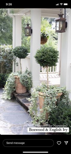 an outdoor area with potted plants and lanterns