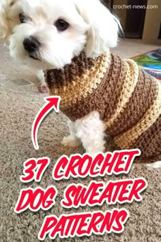 a small white dog wearing a brown and tan sweater with the words crochet dog sweater patterns on it