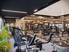 a gym with rows of exercise equipment and plants in the center, surrounded by large windows