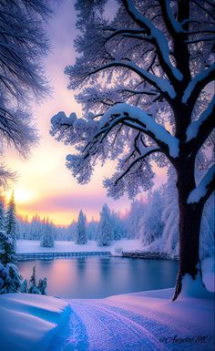 the sun is setting over a lake and snow covered trees are in the foreground