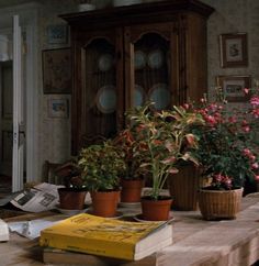 several potted plants sit on top of a table in front of a china cabinet