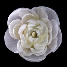 an overhead view of a white flower on a black background