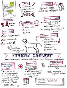 a hand drawn diagram with different types of medical items