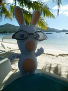 a stuffed animal wearing glasses on the beach with palm trees and water in the background