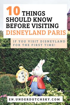 disneyland park with the words 10 things you should know before visiting disneyland