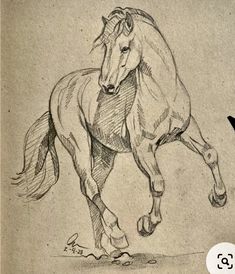 a pencil drawing of a horse running on the ground with it's front legs spread out