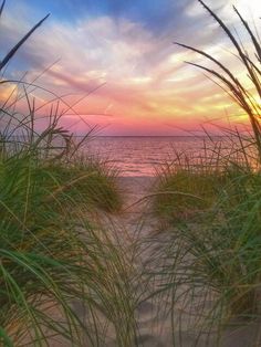 the sun is setting over the beach and grass