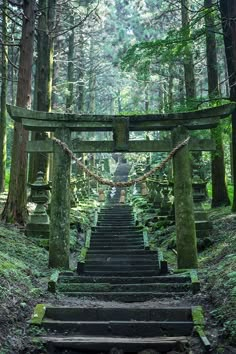 steps leading up to a shrine in the woods