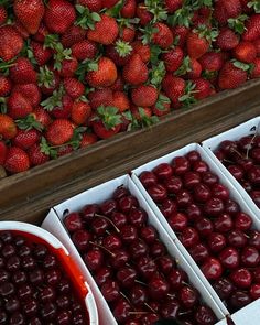 fresh cherries and strawberries for sale at a market